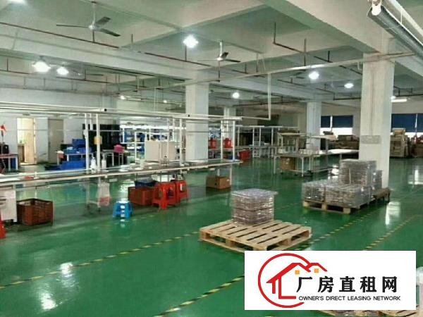  大朗富民工业园新岀带精装修独门独院厂房招租