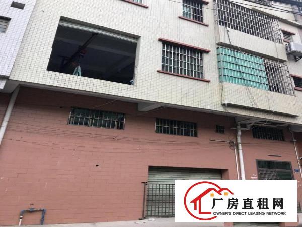  【大朗整栋出租】洋乌村自建房4层半700方出租
