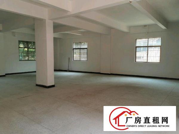  一手房东550平全新厂房出租