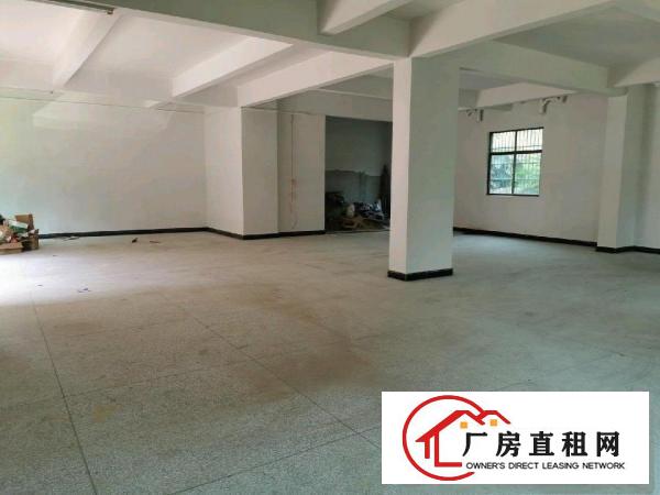  一手房东550平全新厂房出租