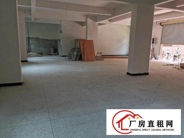  一手房东550平全新厂房出租