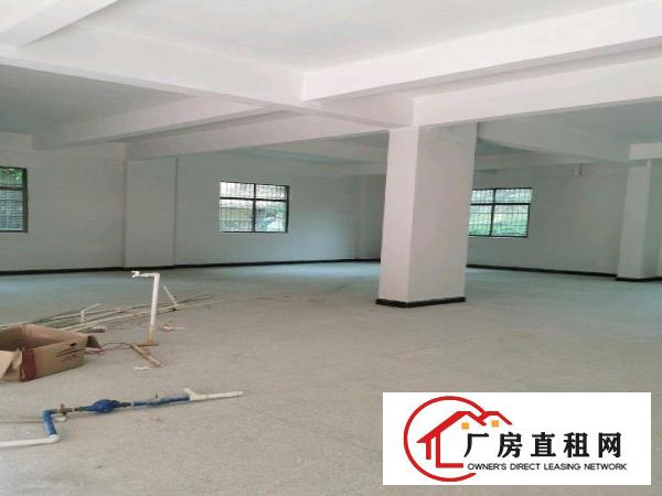  一手房东550平全新厂房出租