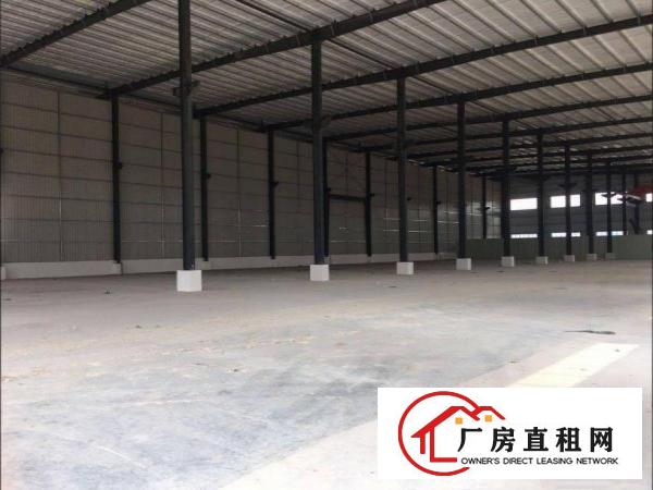  出租大朗镇杨涌新出精品独院单一层厂房2800平方，滴水八米