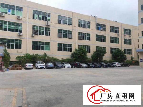  出租大朗镇水平新出（原房东豪华装修带环评）一楼1350平