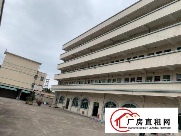  大朗新出独门独院厂房位置好形象佳价格可谈交通便利易招工