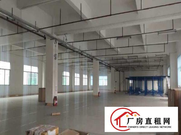  高速路口独门独院厂房！空地空间大！