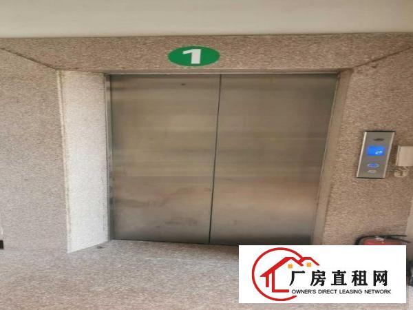  出租大朗镇黎贝岭厂房260平方