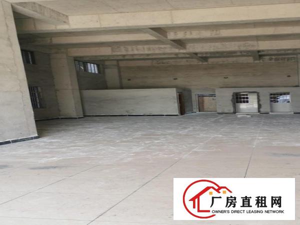  黎贝岭广场全新厂房出租