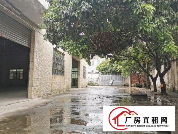  大朗原房东经典小独院