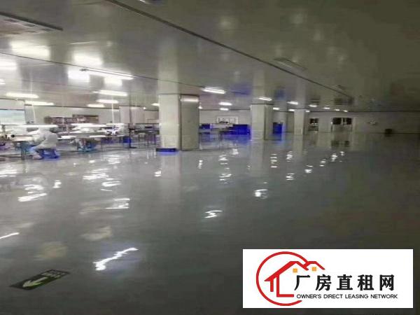  大朗镇无尘车间出租，水电齐全，拎包即可生产