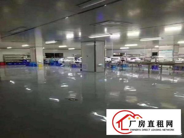  大朗镇无尘车间出租，水电齐全，拎包即可生产