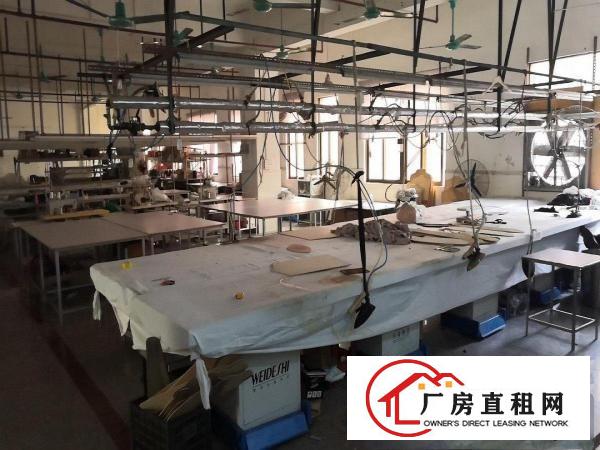  大朗新毛织市场正对面1350平转租