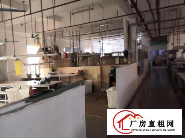  大朗新毛织市场正对面1350平转租
