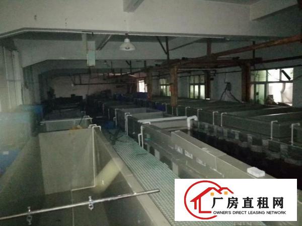  阳极氧化厂房出租，另有钝化线和阳极氧化线出租，合作，转让