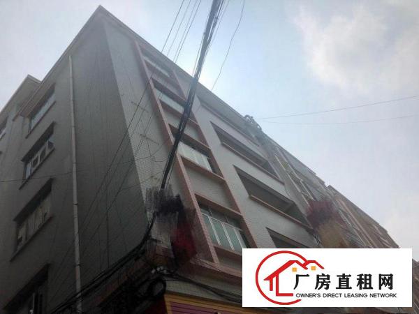  位置在大朗广场后面大路边二三层招租每层大概180方。