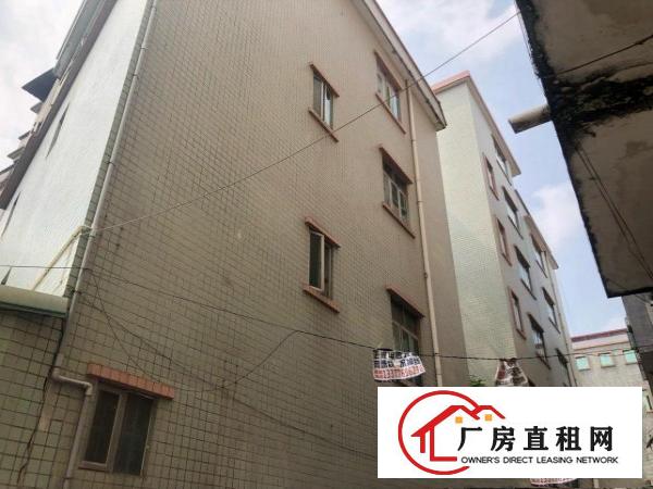  位置在大朗广场后面大路边二三层招租每层大概180方。