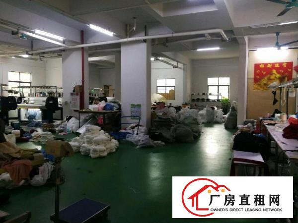  松柏朗一楼400平方厂房