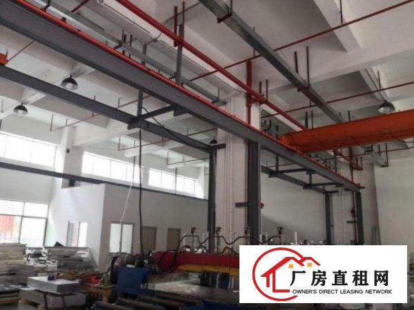  出租大朗石厦工业区可办环评，现成装修空出1楼厂房700平方