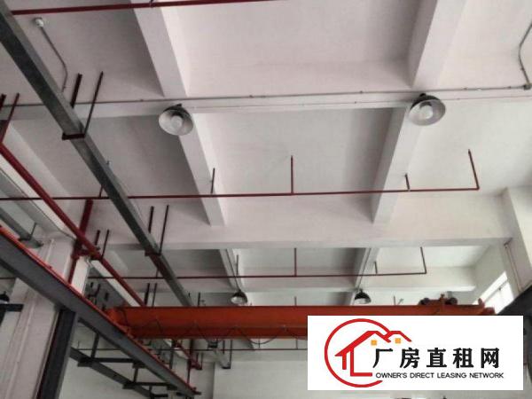  出租大朗石厦工业区可办环评，现成装修空出1楼厂房700平方