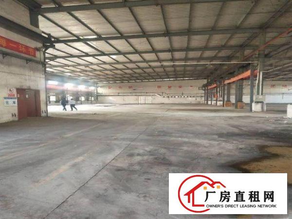  出租大朗洋乌工业新出原房东单一层钢构580平滴水7米可办环评