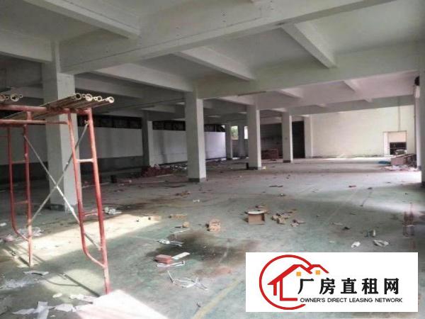  出租大朗圣堂新出原房东标准厂房一楼1200平米，可办环评