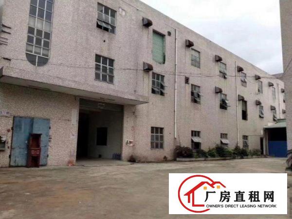  出租大朗圣堂新出原房东标准厂房一楼1200平米，可办环评