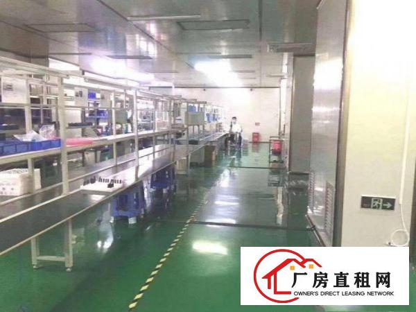  大朗巷尾工业区新出楼上1000平带精装豪华装修厂房出租