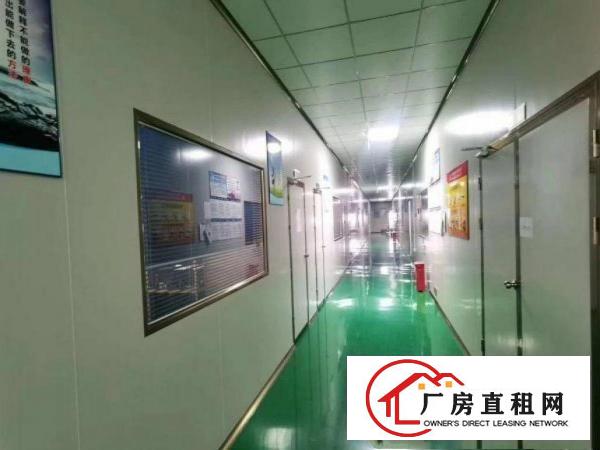  大朗巷尾工业区新出楼上1000平带精装豪华装修厂房出租