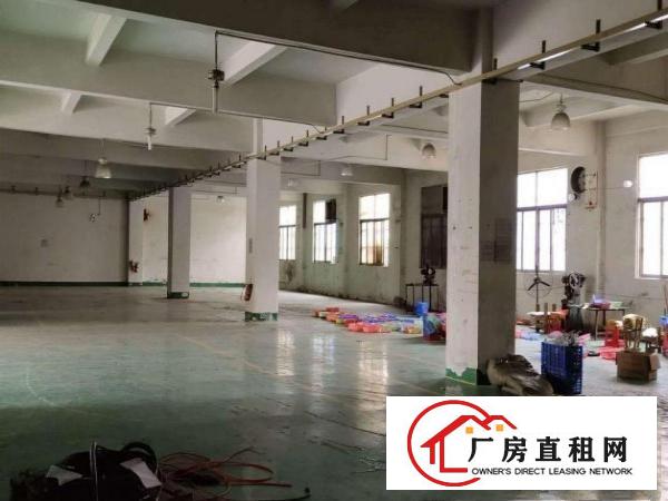  大朗佛新工业区独门独院新出一楼1200平出租水电办公室齐全