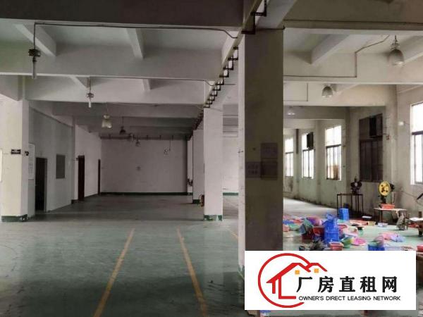 大朗佛新工业区独门独院新出一楼1200平出租水电办公室齐全