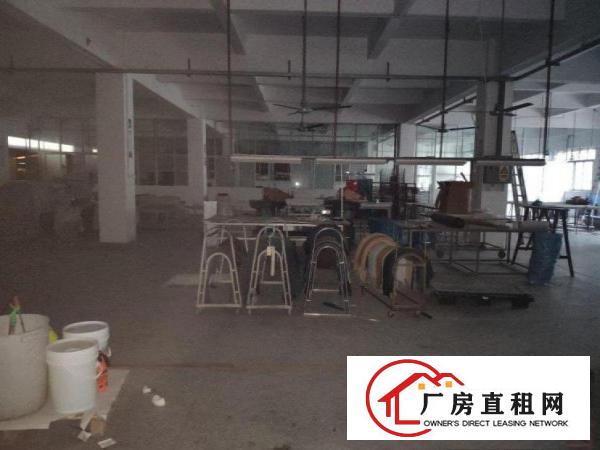  大朗黎贝岭工业区一楼原房东厂房1100平厂房招租！面积实在！