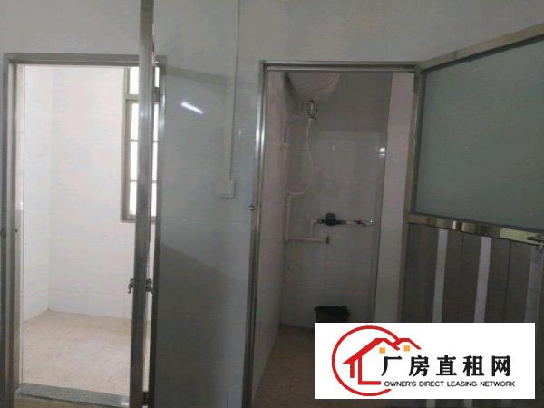 自家新房出租，价格实惠！
