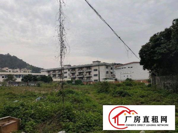  大朗镇犀牛陂新出厂房滴水6.5米高面积约1300平