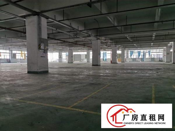  大朗镇原房东直租红本独院24000平，形象好，空地大