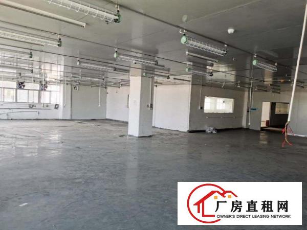  大朗镇原房东直租红本独院24000平，形象好，空地大