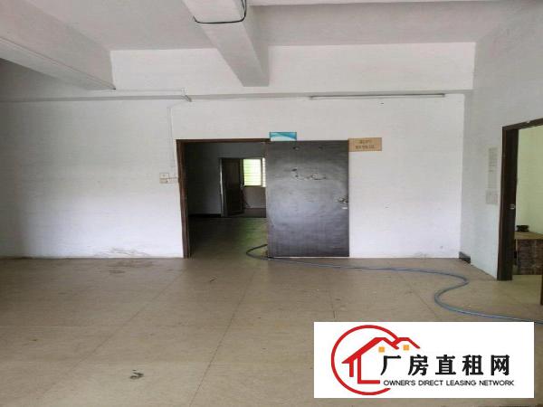 大朗镇:毛织厂房出租/价格便宜带装修
