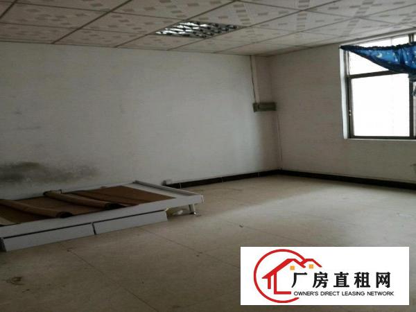  大朗镇:毛织厂房出租/价格便宜带装修