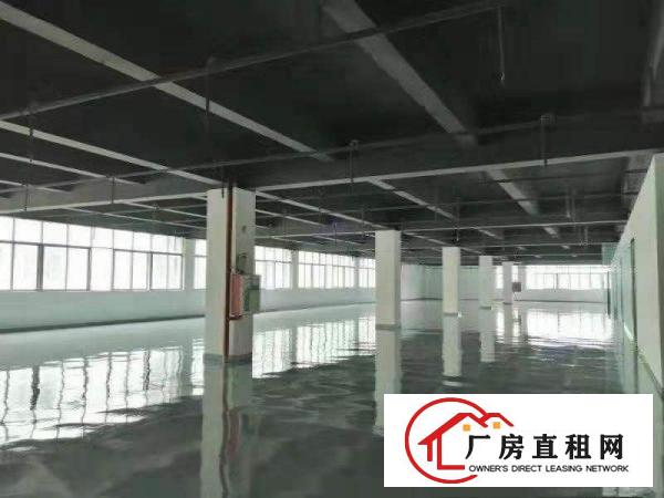 大朗沙步出租精装修厂房1000平，200平起分，装修九成新