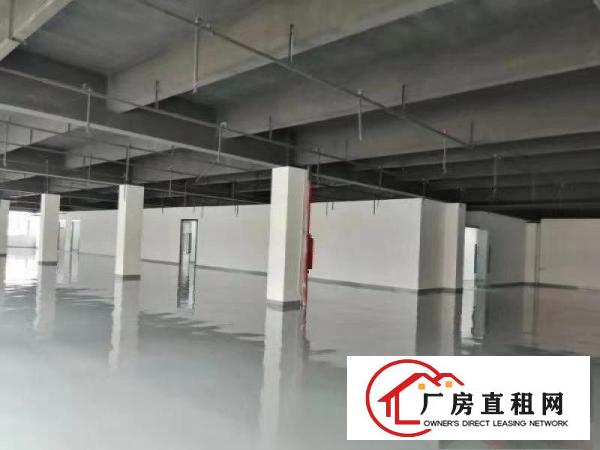  大朗沙步出租精装修厂房1000平，200平起分，装修九成新
