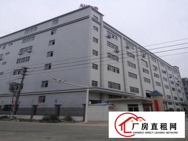  独门独院工业厂房出租