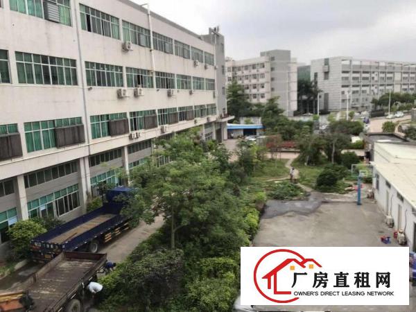  大朗富民工业城空出一楼1450平，高六米，带行车带办公室装修