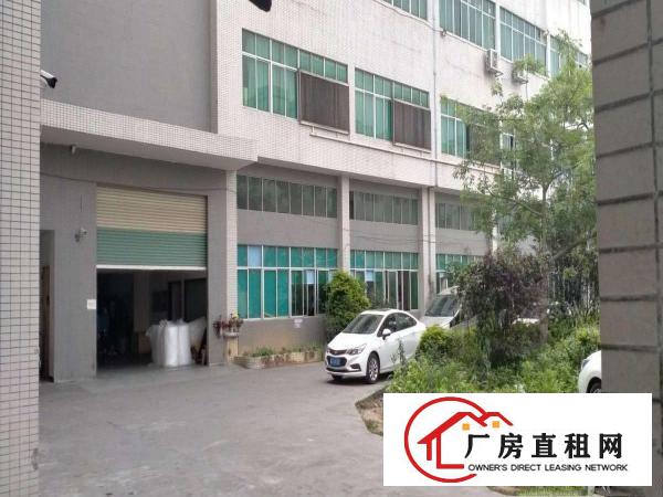  大朗富民工业城空出一楼1450平，高六米，带行车带办公室装修