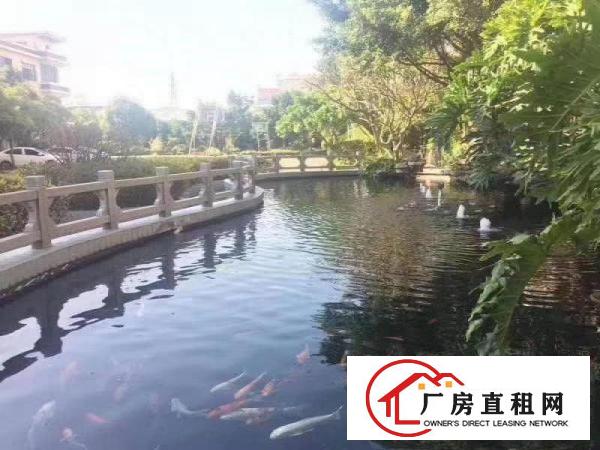  东莞市大朗镇带鱼塘独院18000平方出租带独立办公楼