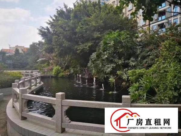  东莞市大朗镇带鱼塘独院18000平方出租带独立办公楼