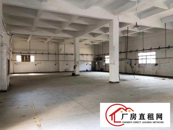  好消息大朗黄草楼新出一楼200平方厂房带现成水电