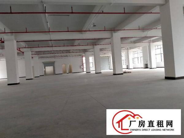  原房东厂房1000平方出租可办环评可分租