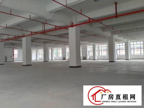  原房东厂房1000平方出租可办环评可分租