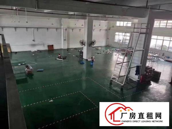  大朗新出小独院面积2000平，带消防喷淋