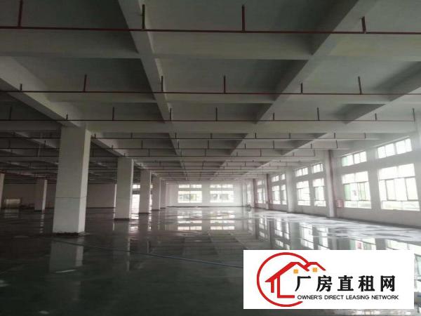  大朗象山工业城原房东可分租楼上三楼1000方13元，带装修