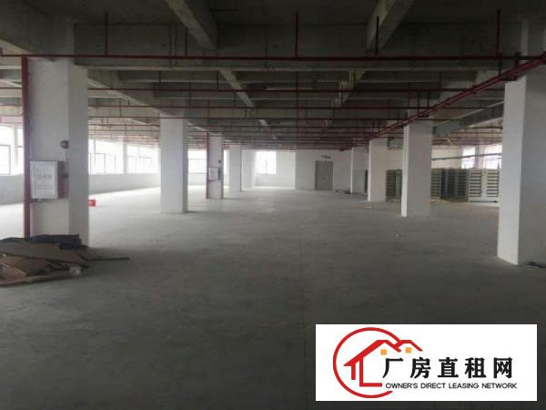  大朗象山工业城原房东可分租楼上三楼1000方13元，带装修